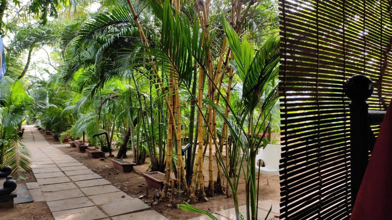 Patnem Palm Garden 호텔 Patnem Beach 외부 사진